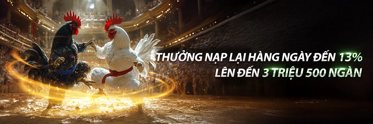 Đá Gà Trực Tuyến MCW77 2026
